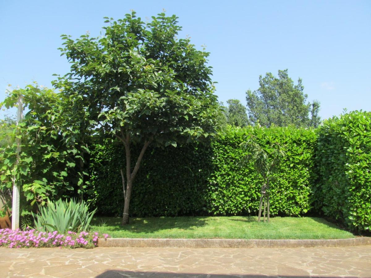 Apartments Zvezdica*** With Garden 잠브라티야 외부 사진