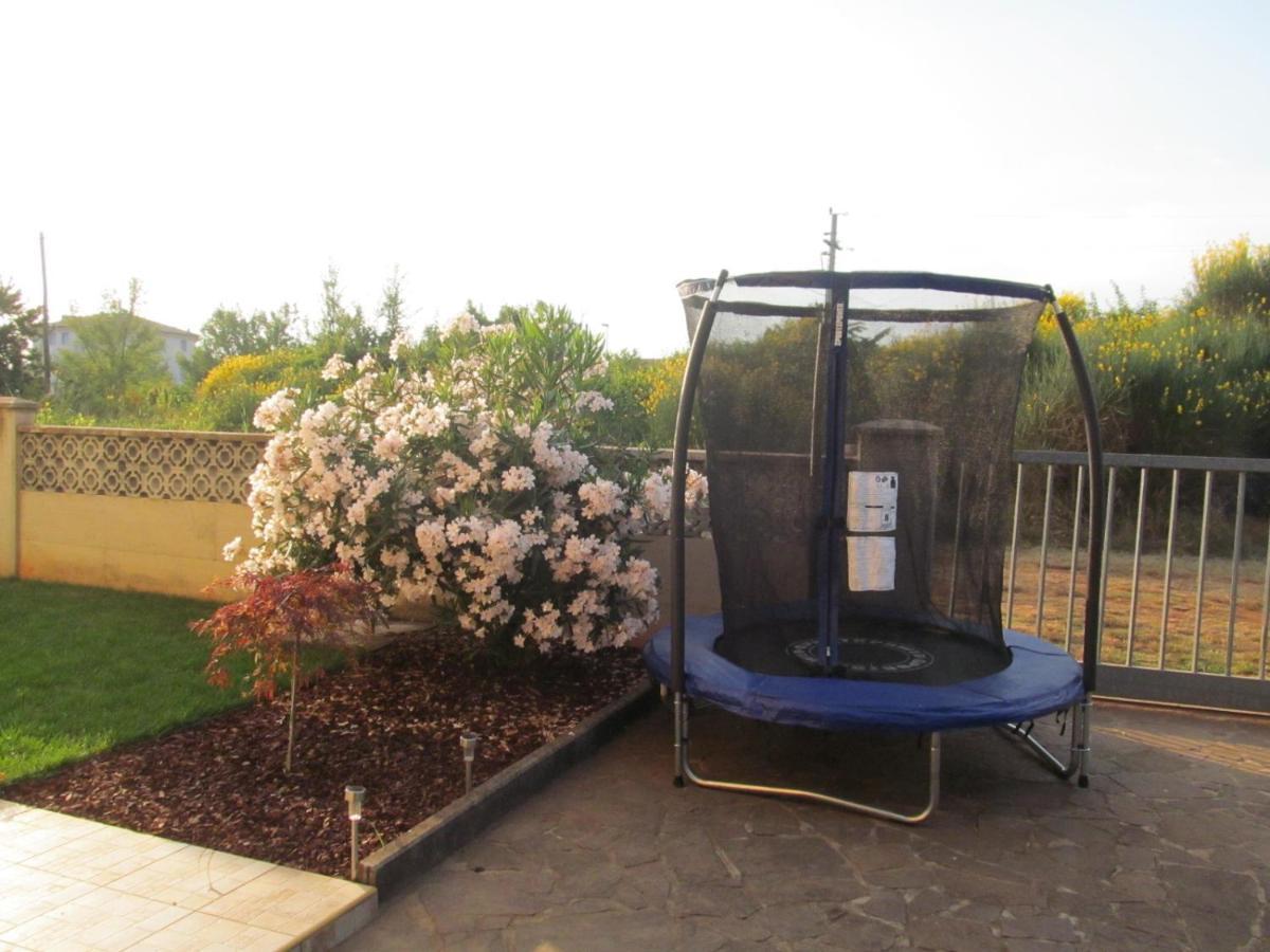 Apartments Zvezdica*** With Garden 잠브라티야 외부 사진