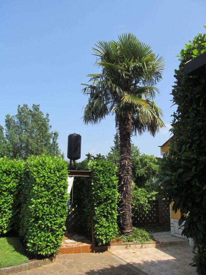 Apartments Zvezdica*** With Garden 잠브라티야 외부 사진