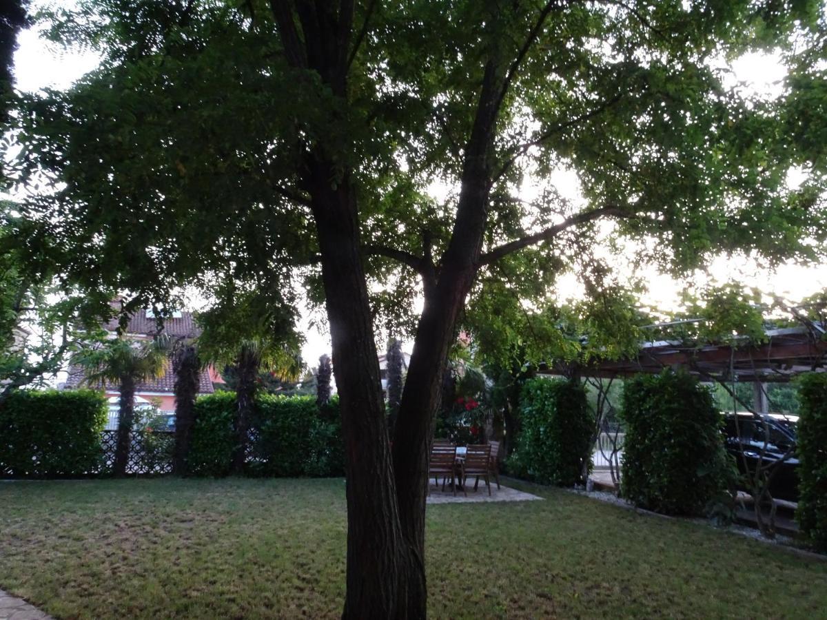 Apartments Zvezdica*** With Garden 잠브라티야 외부 사진