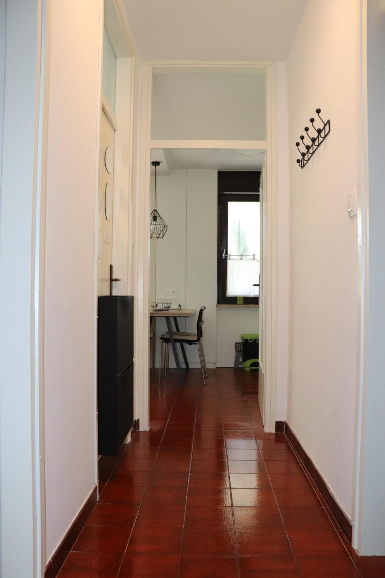 Apartments Zvezdica*** With Garden 잠브라티야 외부 사진